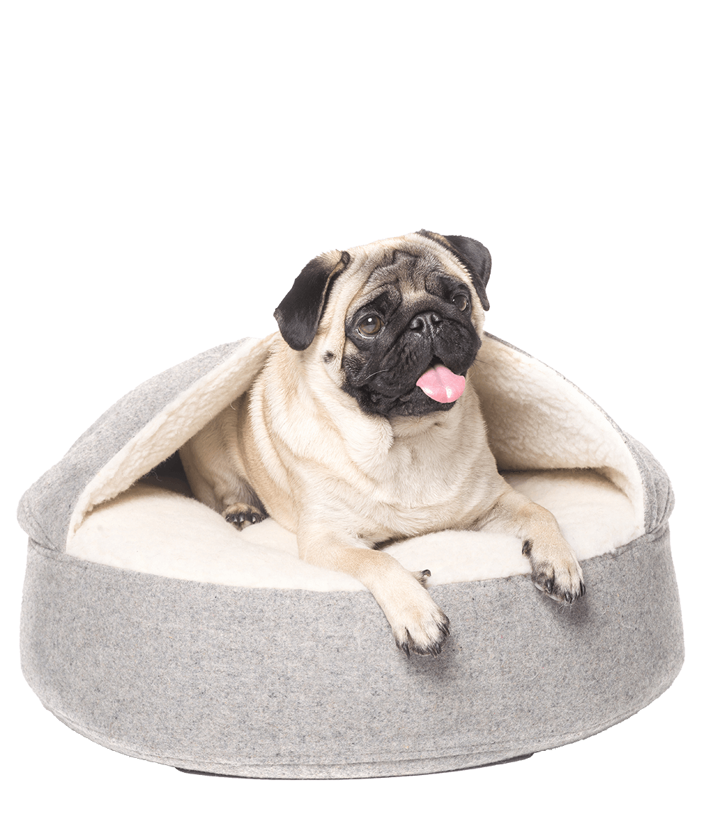 Catbox-Images